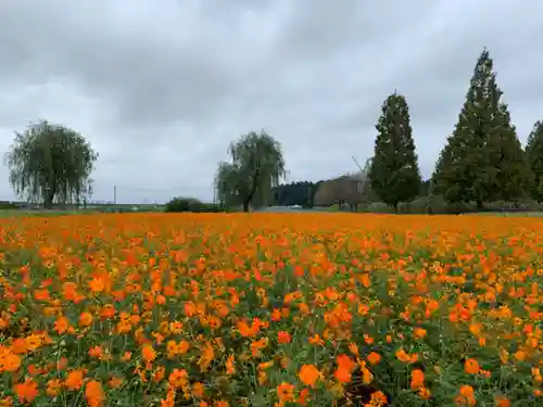 布施弁天 東海寺の自然