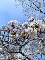 上関山 極楽寺(神奈川県)