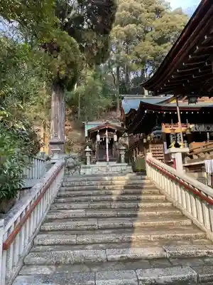 日牟禮八幡宮(滋賀県)