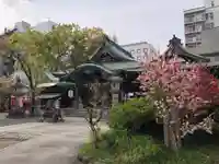 髙牟神社の本殿・本堂