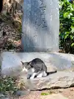 前玉神社の{uncategorized: "未分類", other: "その他", undefined: "問題あり", building: "その他建物", grave: "お墓", sacred_gate: "鳥居", guardian: "狛犬", statue: "像", buddha: "仏像", history: "歴史", nature: "自然", garden: "庭園", animal: "動物", pagoda: "塔", temizu: "手水舎", mountain_gate: "山門・神門", sanctuary: "本殿・本堂", subordinate: "末社・摂社", art: "芸術", scenery: "景色", jizo: "地蔵", ema: "絵馬", goshuin: "御朱印", omikuji: "おみくじ", items: "授与品その他", amulet: "お守り", goshuincho: "御朱印帳", eats: "食事", festival: "お祭り", votive_dance: "神楽", shichigosan: "七五三参", wedding: "結婚式", experience: "体験その他", initially: "初詣", around: "周辺", anti_infection: "感染症対策"}