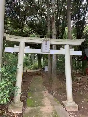 天満神社(千葉県)