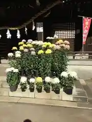 峯ヶ岡八幡神社の庭園