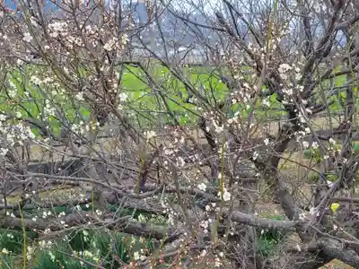 浮嶋神社(愛媛県)