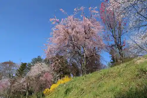 阿久津「田村神社」（郡山市阿久津町）旧社名：伊豆箱根三嶋三社の庭園