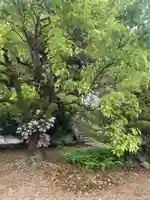 大恩寺(愛知県)