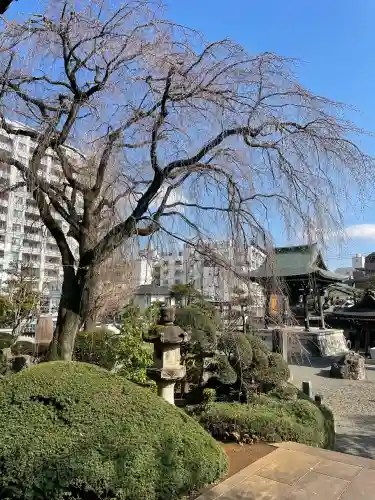 青柳寺の{uncategorized: "未分類", other: "その他", undefined: "問題あり", building: "その他建物", grave: "お墓", sacred_gate: "鳥居", guardian: "狛犬", statue: "像", buddha: "仏像", history: "歴史", nature: "自然", garden: "庭園", animal: "動物", pagoda: "塔", temizu: "手水舎", mountain_gate: "山門・神門", sanctuary: "本殿・本堂", subordinate: "末社・摂社", art: "芸術", scenery: "景色", jizo: "地蔵", ema: "絵馬", goshuin: "御朱印", omikuji: "おみくじ", items: "授与品その他", amulet: "お守り", goshuincho: "御朱印帳", eats: "食事", festival: "お祭り", votive_dance: "神楽", shichigosan: "七五三参", wedding: "結婚式", experience: "体験その他", initially: "初詣", around: "周辺", anti_infection: "感染症対策"}
