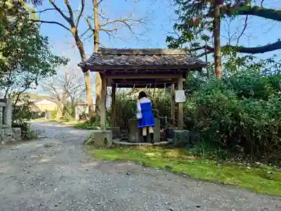 秦神社の手水舎
