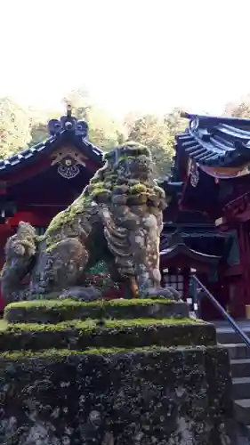 箱根神社の狛犬