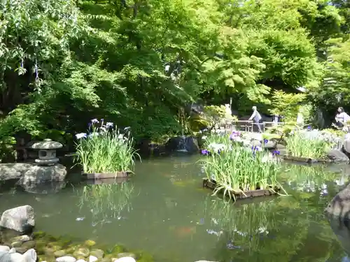 長谷寺(神奈川県)