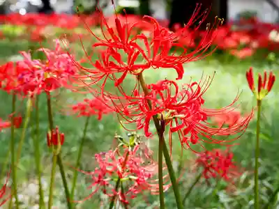 祖光院(千葉県)