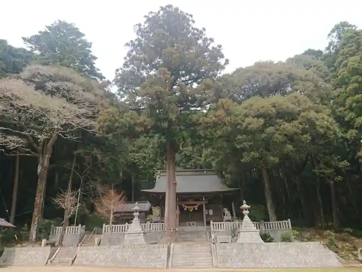 須賀神社のその他建物