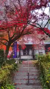 普濟寺の自然(2022年11月13日(日) 18時17分02秒投稿)