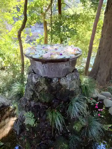 武蔵一宮氷川神社(埼玉県)