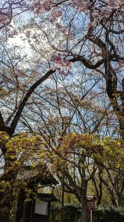松ヶ崎大黒天 妙圓寺(妙円寺)(京都府)
