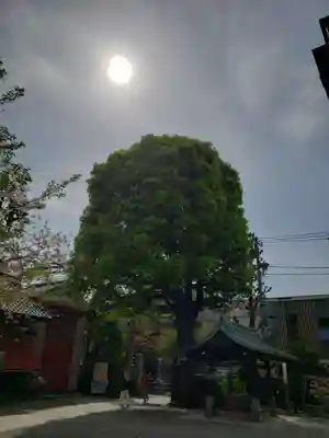 麻布氷川神社(東京都)