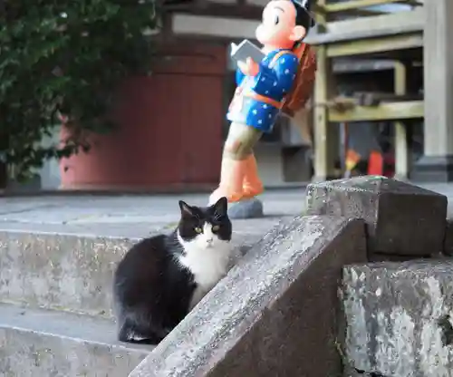 今市報徳二宮神社(栃木県)