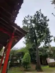 中山神社の自然