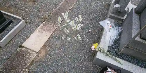 大徳寺(京都府)