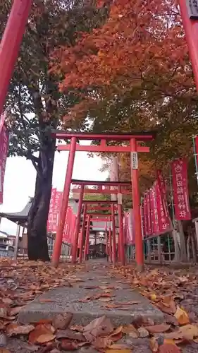 門田稲荷神社の鳥居