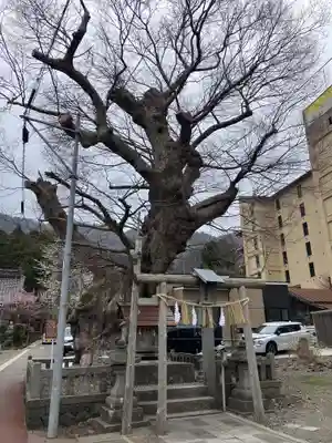 住吉神社(彌彦神社境外末社)(新潟県)