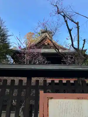 甲斐國一宮 浅間神社(山梨県)