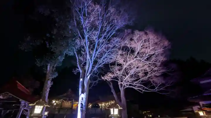 金蛇水神社(宮城県)