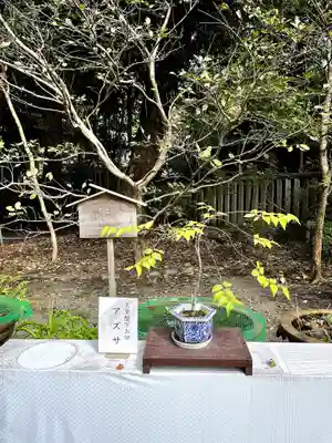 大宮八幡宮(東京都)