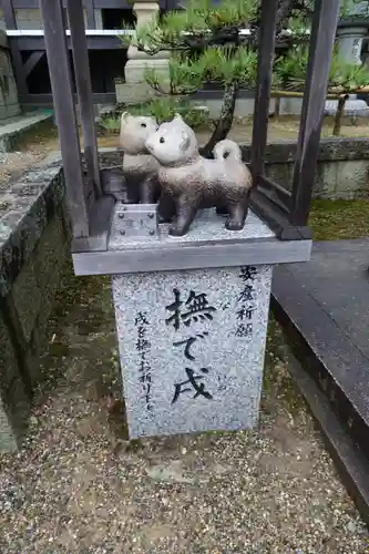 白國神社の狛犬