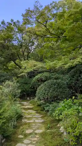 実光院(京都府)