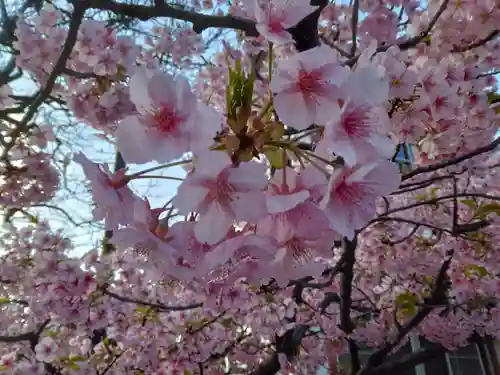 龍王院(東京都)