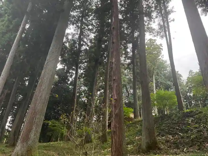 大宮温泉神社(栃木県)