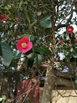 鹿島神社の自然