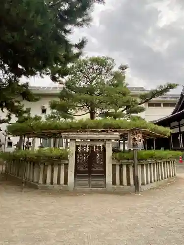 高砂神社の自然