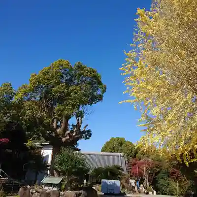 盛松寺(大阪府)