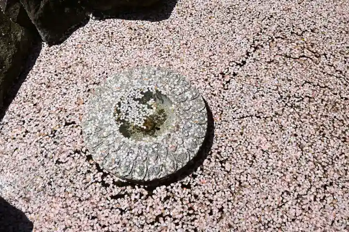 岡寺(龍蓋寺)(奈良県)