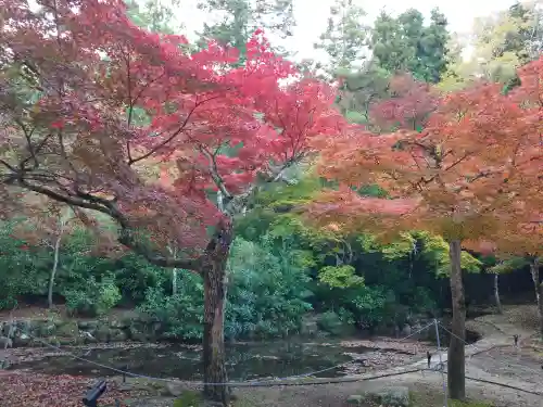 厳島神社(広島県)