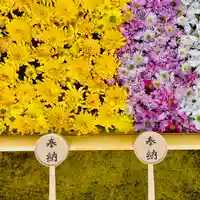 土津神社|こどもと出世の神さまの手水舎