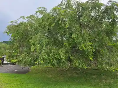 泰門庵(滋賀県)