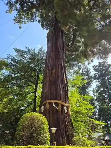 香取神宮の自然