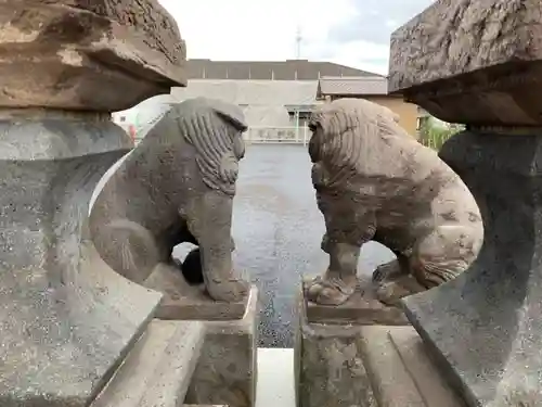 神明神社の狛犬