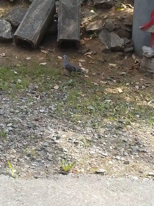 中山鳥瀧神社(宮城県)