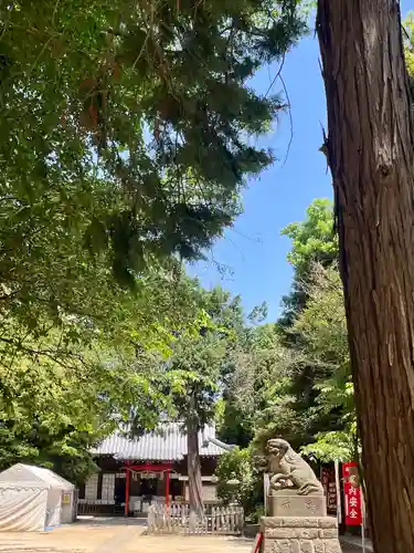 中山神社(埼玉県)