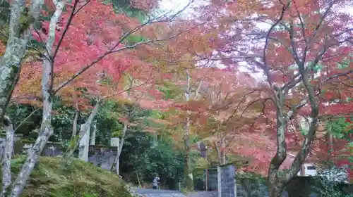 吟松寺の自然