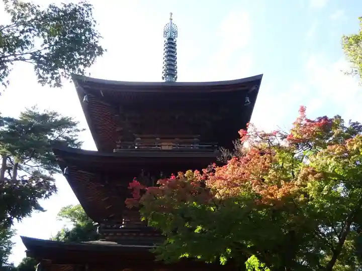 豪徳寺のその他建物