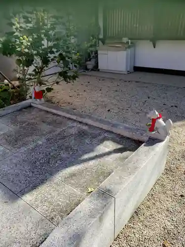 馬橋稲荷神社の狛犬