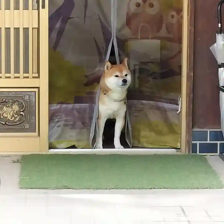思金神社(神奈川県)