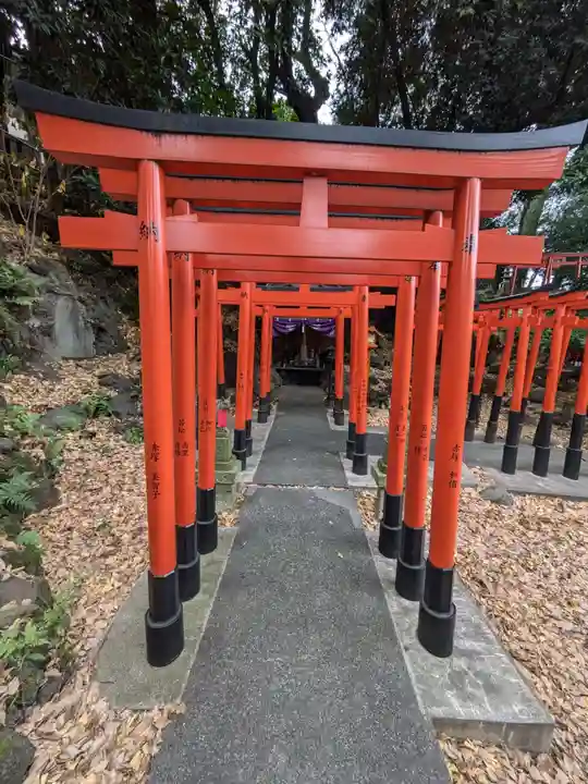 澤蔵司稲荷(慈眼院)(東京都)