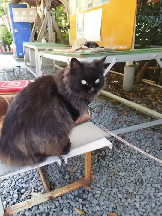 粉河産土神社(たのもしの宮)(和歌山県)