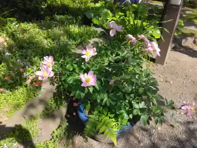補陀洛寺(神奈川県)